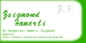 zsigmond hamerli business card